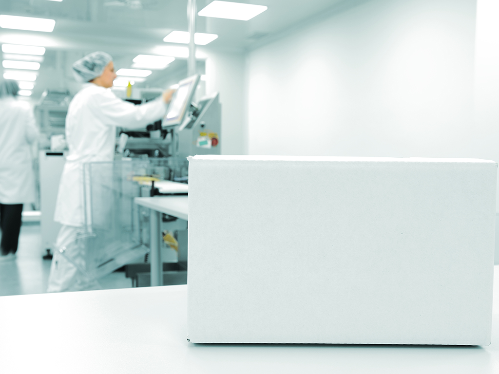 Clean Room Packaging Services